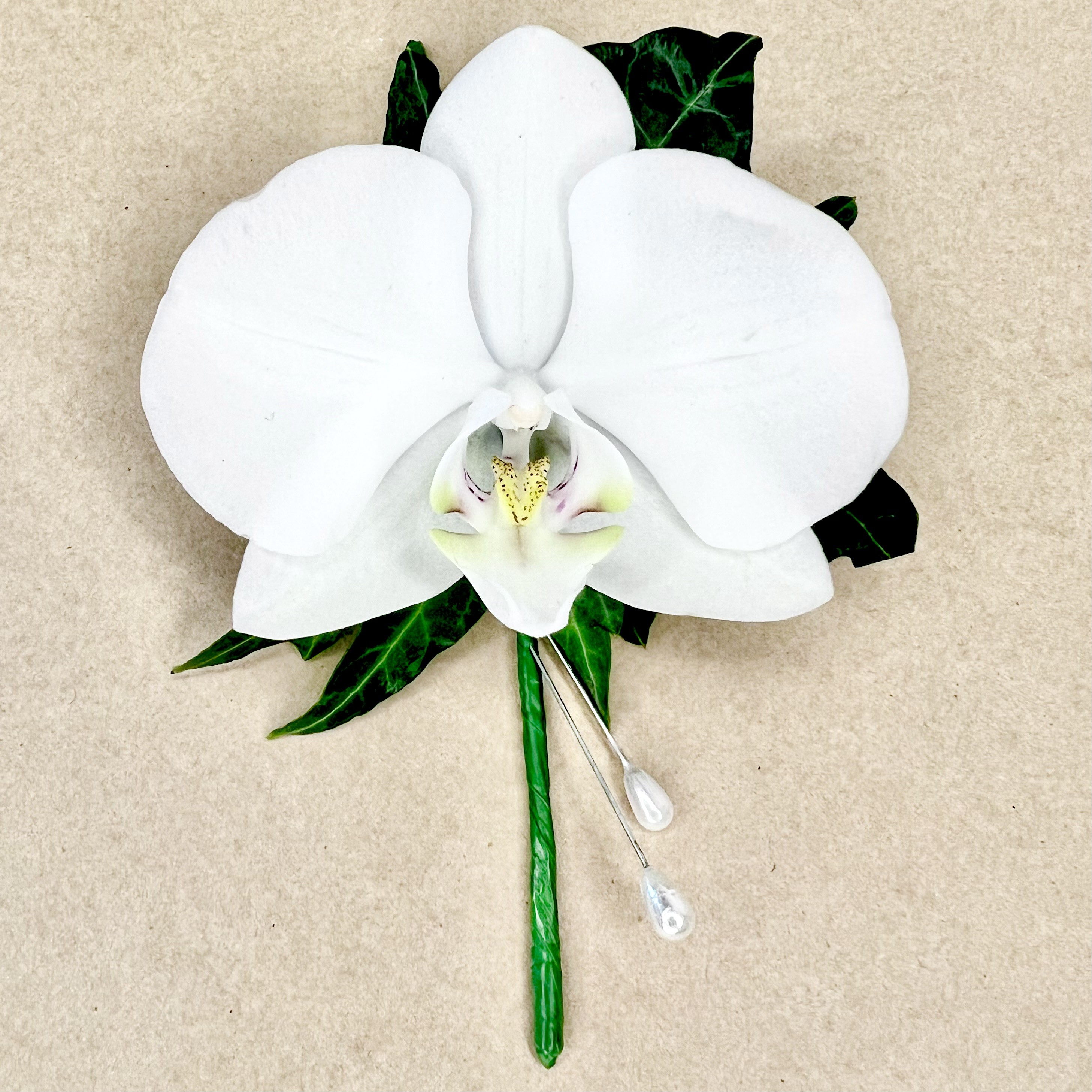 Formal Buttonhole - Phalaenopsis Orchid