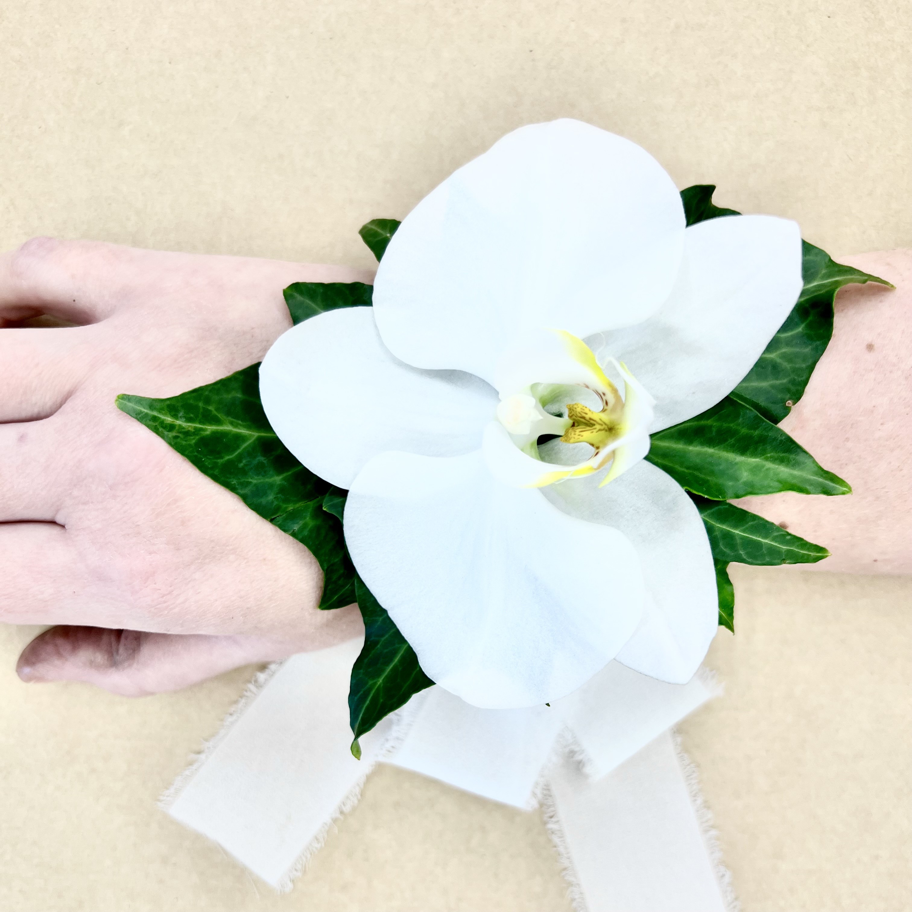 Formal Wrist Corsage - Phalaenopsis Orchid